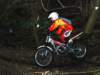 dsc_0088_small.jpg