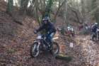 dsc02604_small.jpg