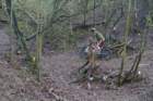 dsc05171_small.jpg