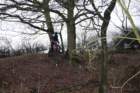 dsc01015_small.jpg