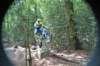 dsc03896_small.jpg
