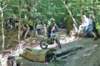 dsc04040_small.jpg