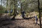 dsc02693_small.jpg
