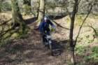dsc02695_small.jpg