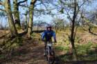 dsc02700_small.jpg