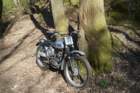 dsc02705_small.jpg