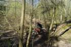 dsc02711_small.jpg
