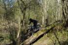 dsc02714_small.jpg