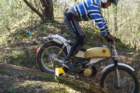dsc02718_small.jpg