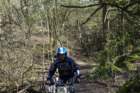 dsc02721_small.jpg