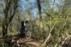 dsc02729_small.jpg
