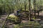 dsc02731_small.jpg