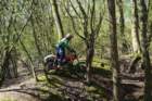 dsc02733_small.jpg