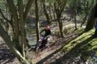 dsc02737_small.jpg