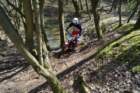 dsc02739_small.jpg