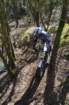 dsc02742_small.jpg