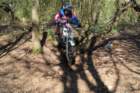 dsc02752_small.jpg