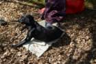 dsc02759_small.jpg