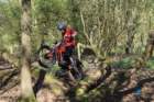 dsc02761_small.jpg