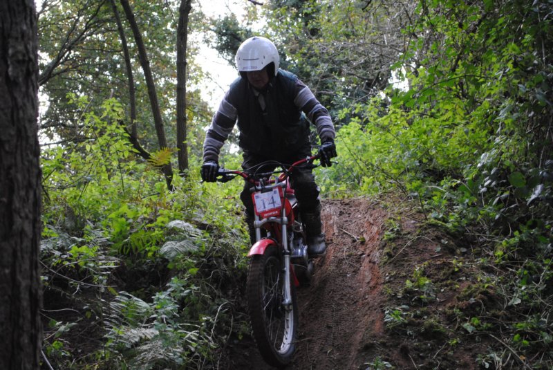 dsc_0175.jpg