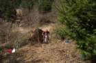 dsc00245_small.jpg